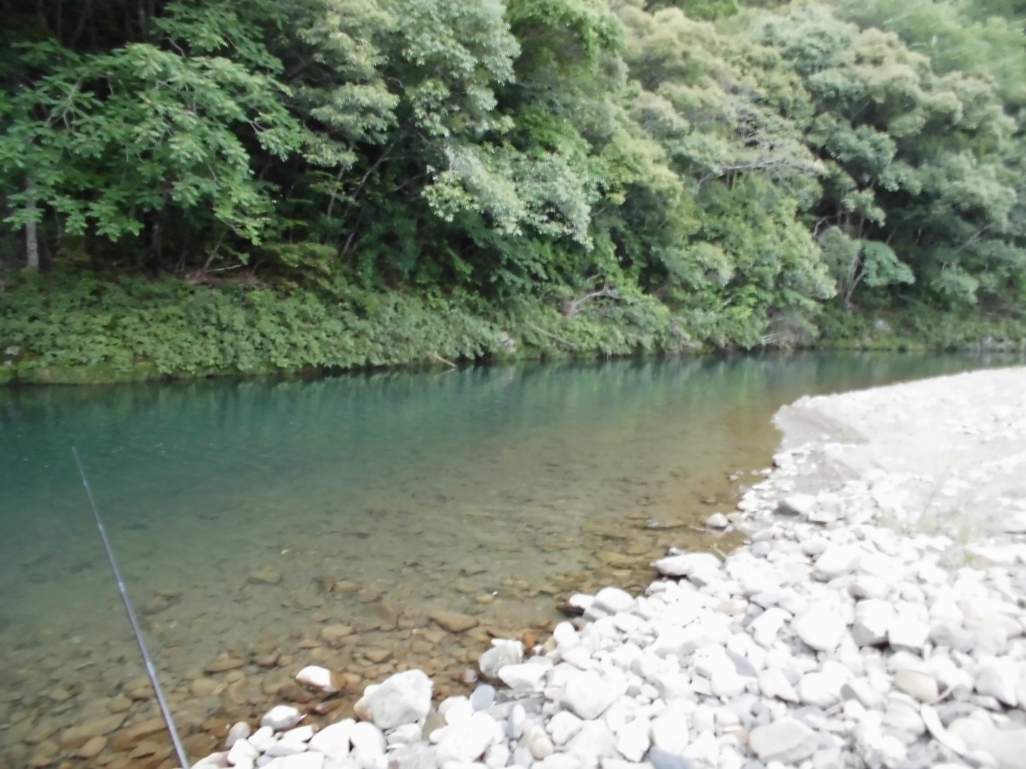 Em 単なる釣り好きサラリーマンのイケナイ生活 Em B B 16年6月10日 福良川 ウナギ狙い